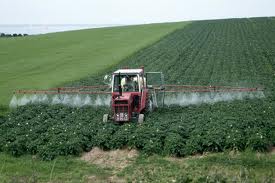 Spraying Roundup with a Tractor on Live Plants